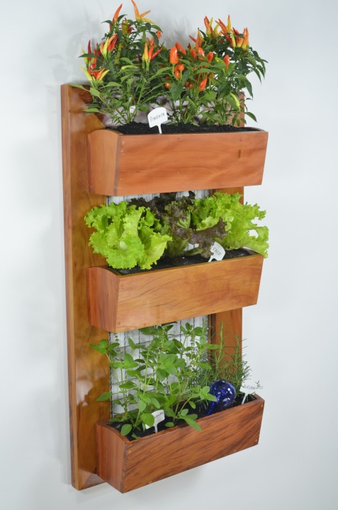 A vertical garden with many houseplants in a limited space