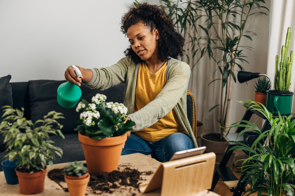 talking to plants