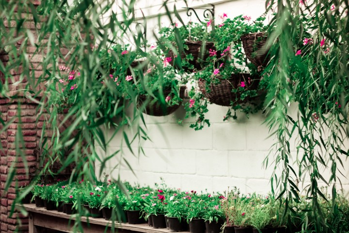 Creative groupings of hanging plants with bright colors and shapes