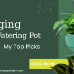 hanging self watering pot