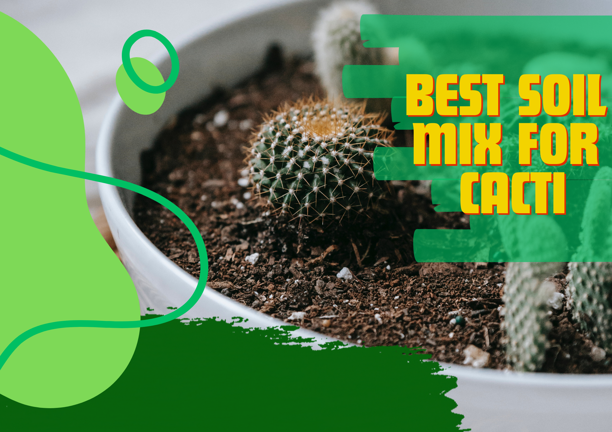 best soil mix for cacti, good cactus soil mix, diy cactus soil