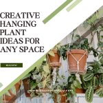 Creative Hanging Plant Ideas for Any Space