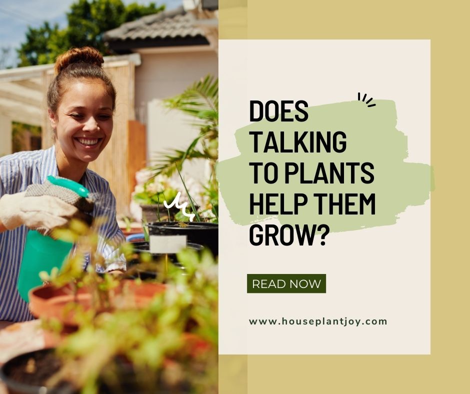 Does Talking to Plants Help Them Grow?