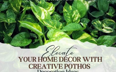 Elevate Your Home Décor with Creative Pothos Decoration Ideas