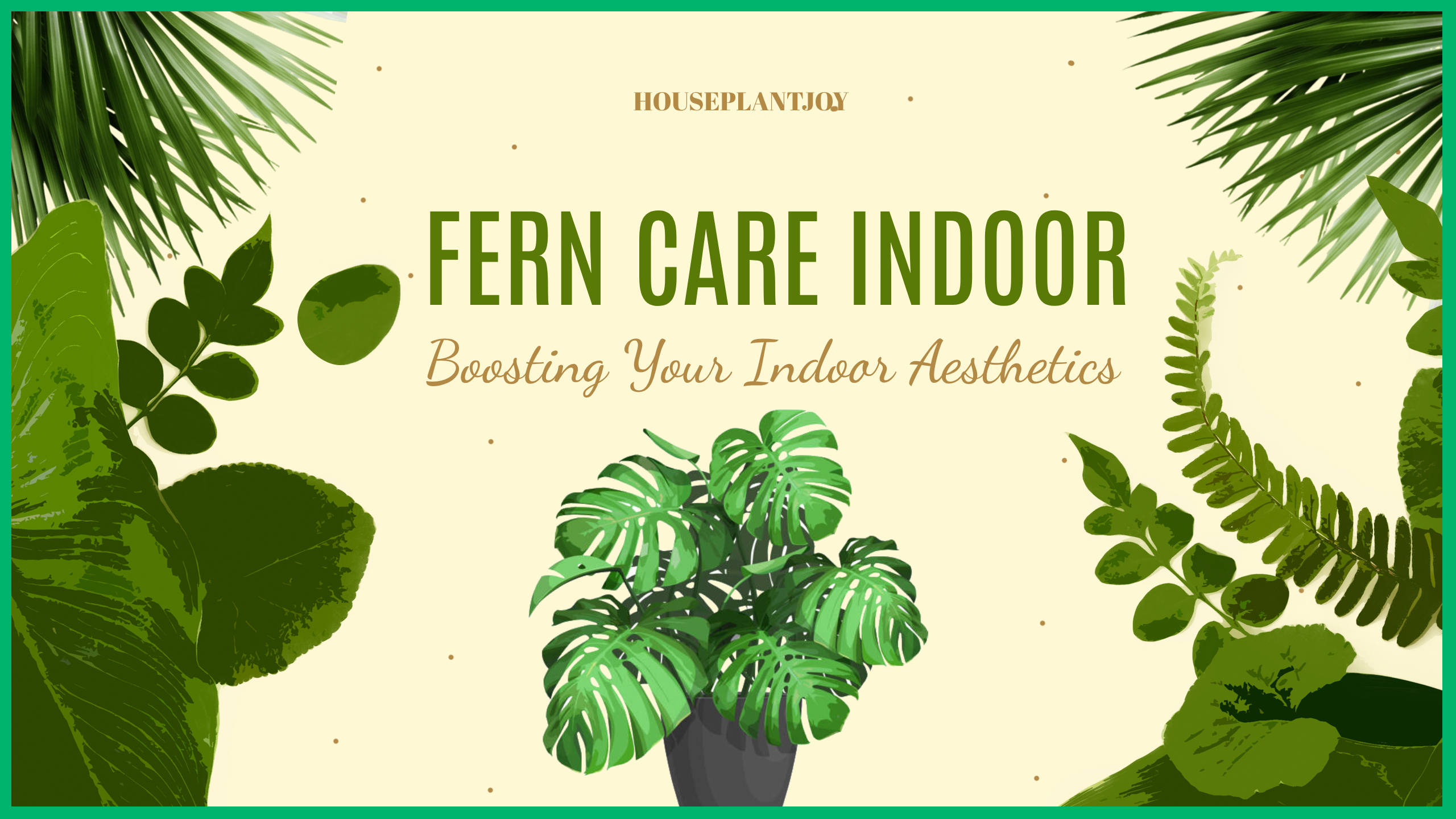 fern care indoor