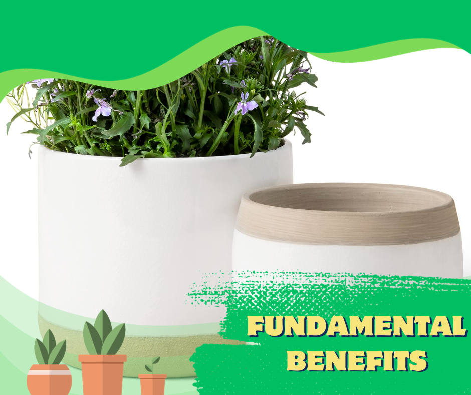 fundamental benefits of ceramics planters