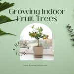 Growing Indoor Fruit Trees