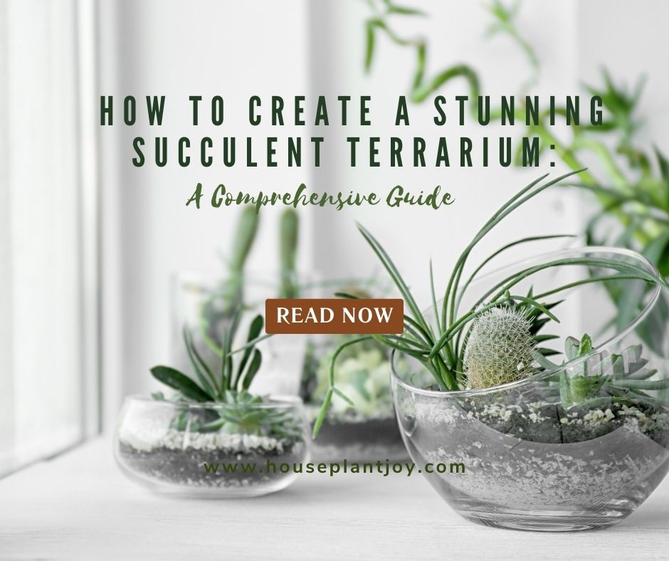 How to Create a Stunning Succulent Terrarium A Comprehensive Guide