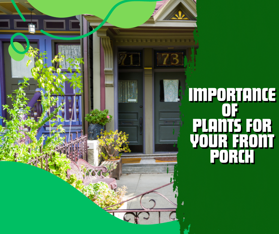 front porch, lush green plants, porch planter idea