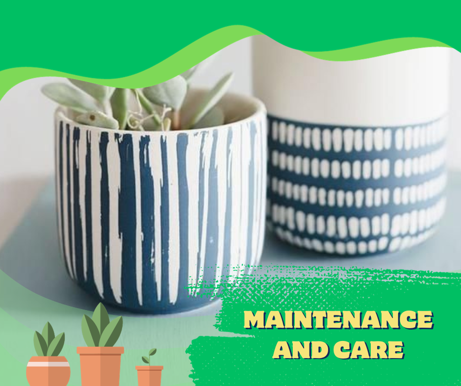 maintenance and care of ceramic planters