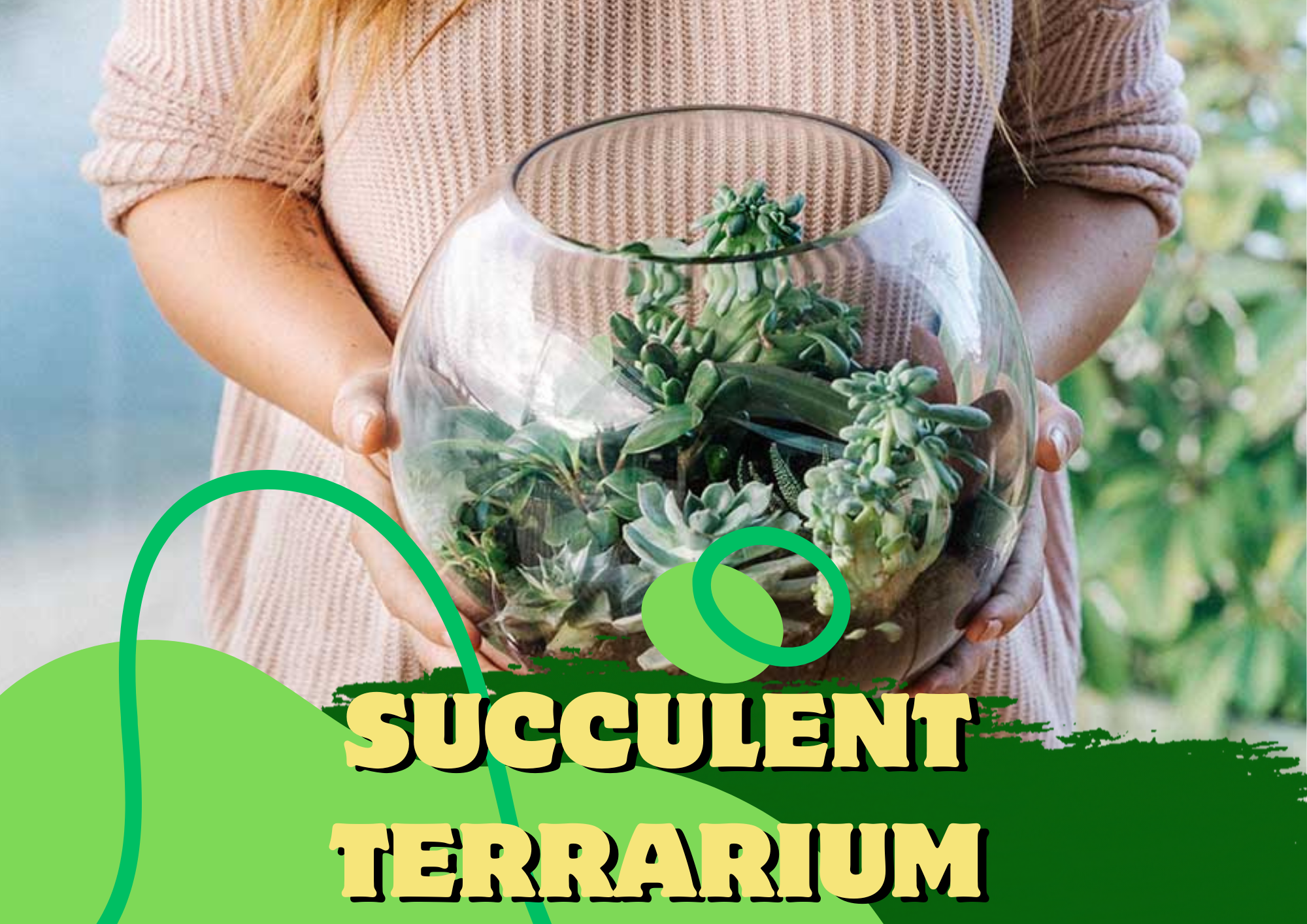 succulent terrarium, drainage hole, terrarium container