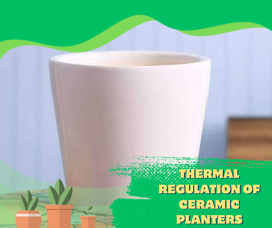 thermal regulation of ceramic planters