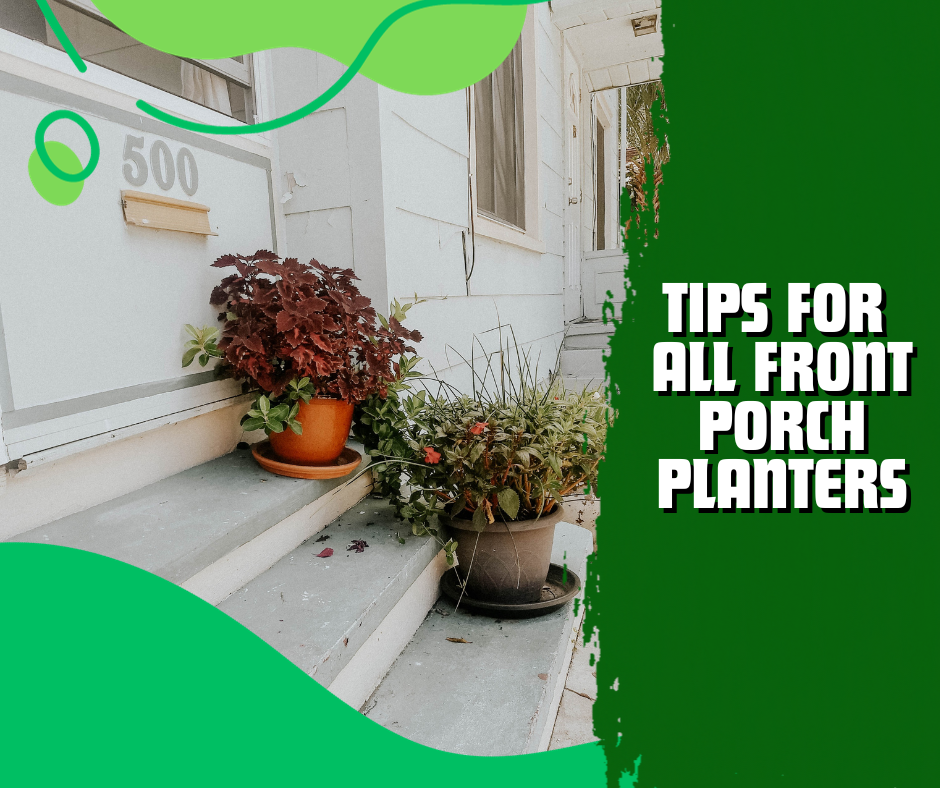 tips for planters, hanging basket, partial shade