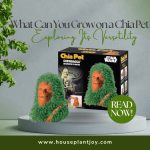 What Can You Grow on a Chia Pet? Exploring Its Versatility