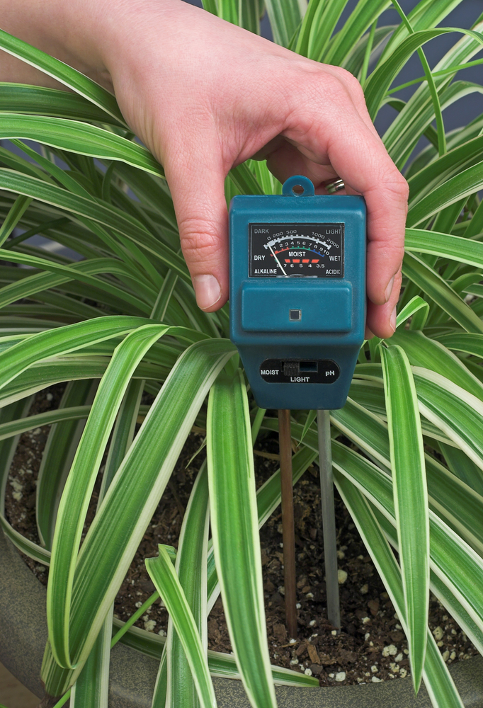 Soil Moisture Meter