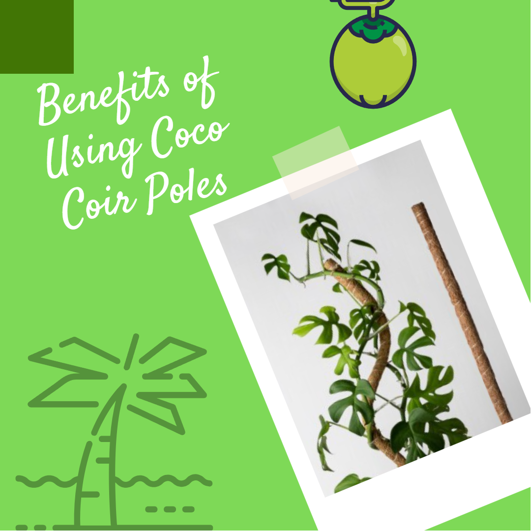 coir poles, plants benefit, provide support