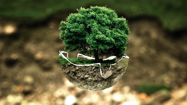 bonsai tree symbolism