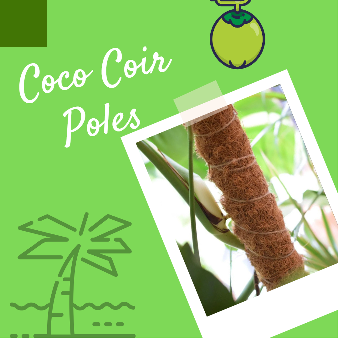 climbing plant, coconut coir poles, vining plants, coconut fiber