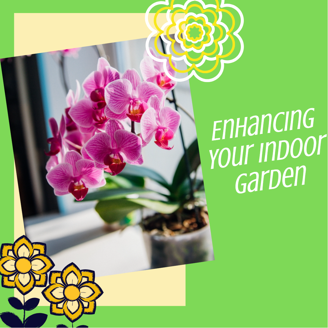 enhancing indoor garden