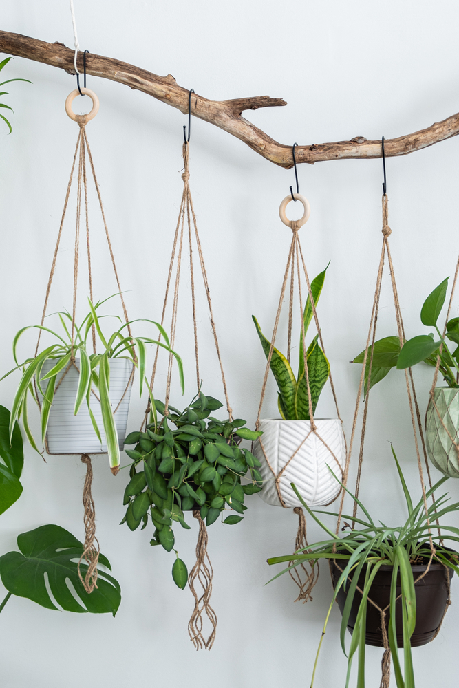 Hanging Self-Watering Pot