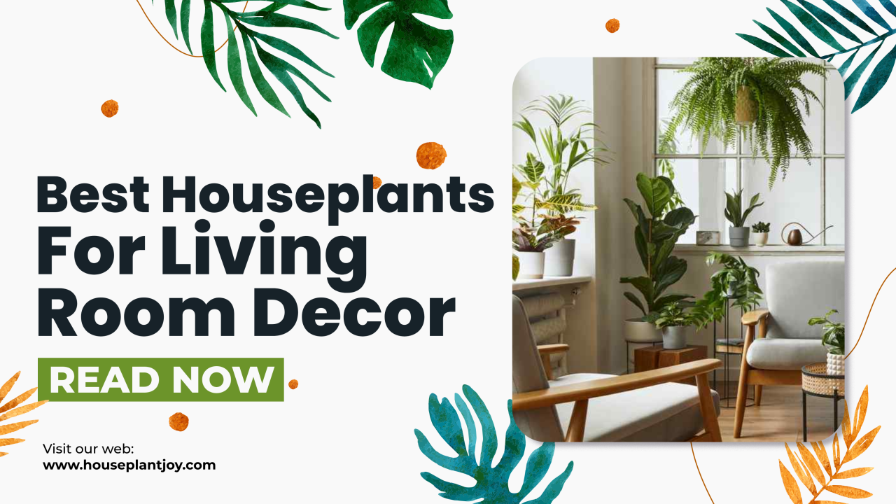 Best Houseplants For Living Room Decor - HouseplantJoy.com