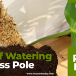 Self Watering Moss Pole